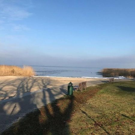 Ferien-Bungalow Im Seebad Ueckermuendeot Bellin ภายนอก รูปภาพ